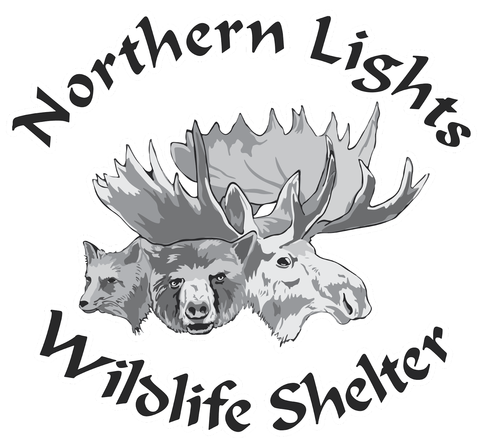 Northern Lights Wildlife Society