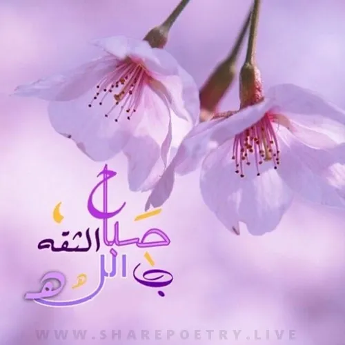 Arabic And Urdu Morning Wishesh images