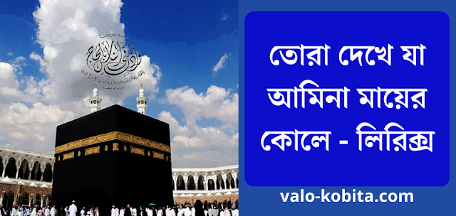 তোরা দেখে যা আমিনা মায়ের কোলে - লিরিক্স