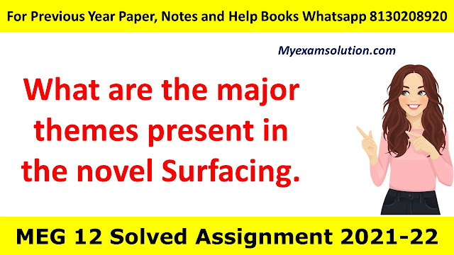 What are the major themes present in the novel Surfacing.