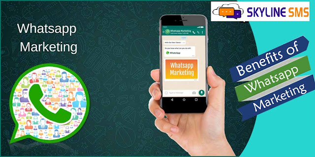 Whatsapp Marketing Services in Delhi