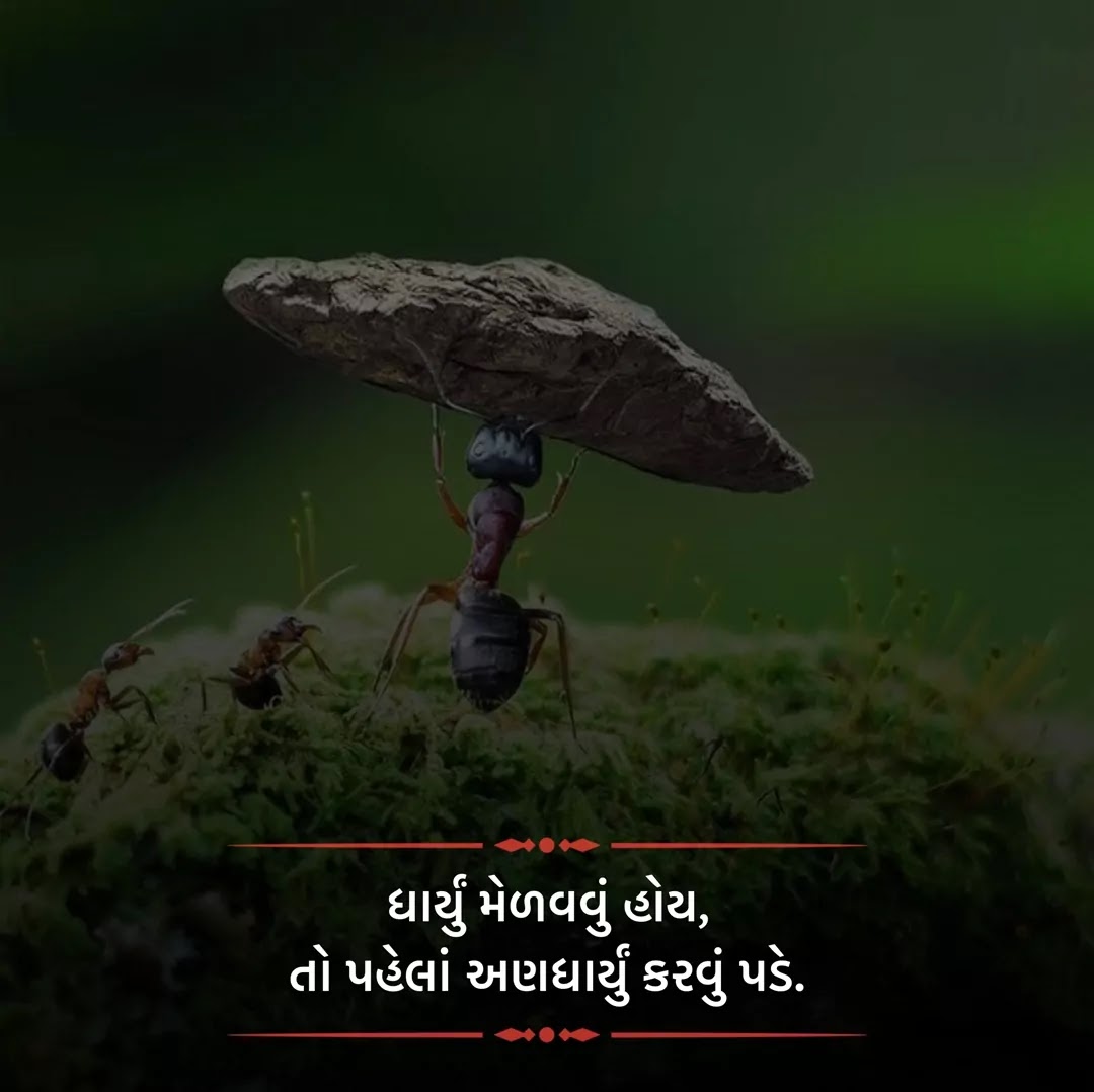 Status in Gujarati