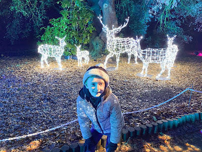 Small lit up reindeers with a child kneeling in front of them