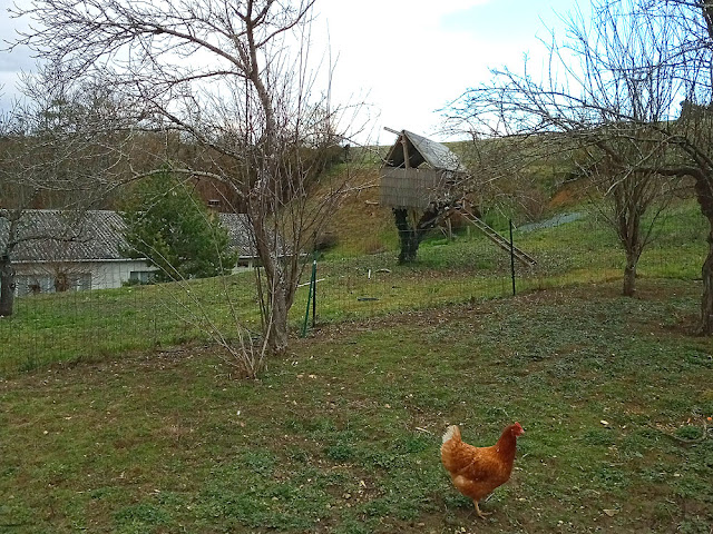 Chook house, Indre et Loire, France. Photo by Loire Valley Time Travel.