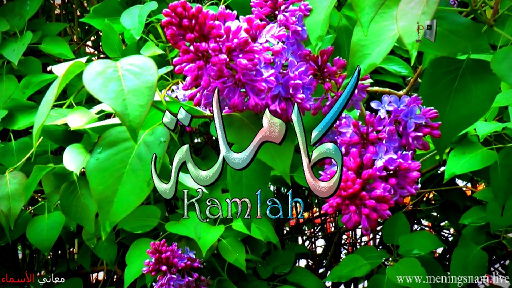 معنى اسم, كاملة, وصفات, حاملة, هذا الاسم, Kamelah,