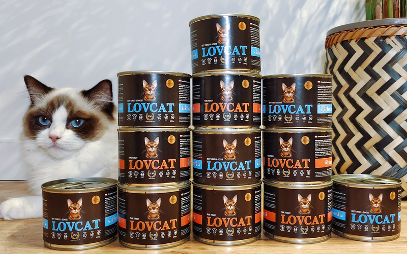 Lovcat, karma Lovcat, Lovcat nowe smaki, Lovcat recenzja, Lovcat opinie, karma mokra dla kota, dobra mokra karma dla kota, dobra karma dla kota, polska karma dla kota, polska kocia marka, kot testuje, koci influencer,