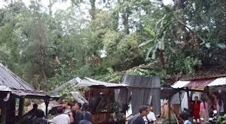 Asyik Ngopi Tertimpa Pohon Tumbang,Tiga Korban Meninggal, Lima Luka-luka di Mojokerto