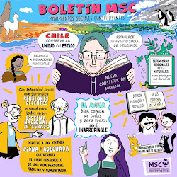 Boletín MSC