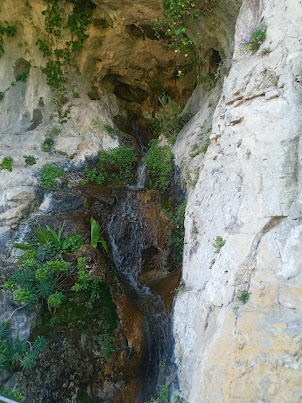 Walking around Jardine Botanique d'Eze ( Jardine Botanical Gardens) came across this waterfall..