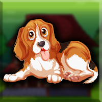 G2J Cute Beagle Puppy Escape