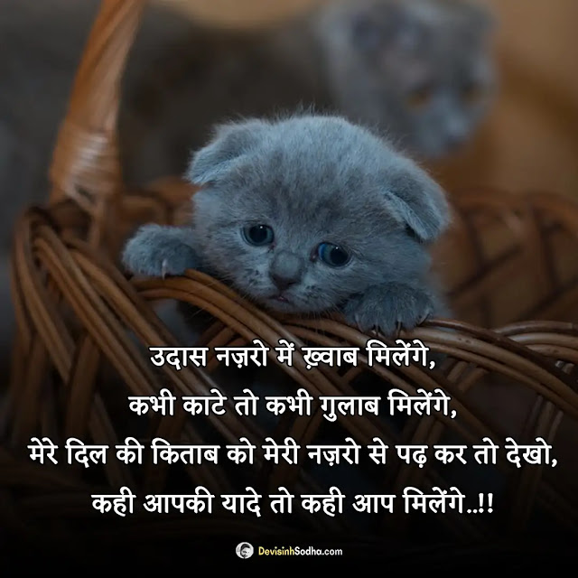 breakup shayari hindi photos and wallpaper, breakup shayari photo download, breakup shayari in hindi for girlfriend download, breakup shayari image download, breakup shayari wallpaper, love breakup shayari photo, love breakup shayari in hindi download, sad breakup shayari image download, breakup shayari image in hindi for girlfriend download, breakup shayari images for boyfriend