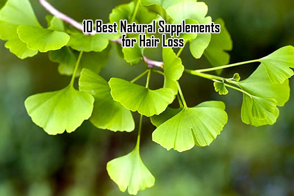 10 Best Natural Supplements for Hair Loss