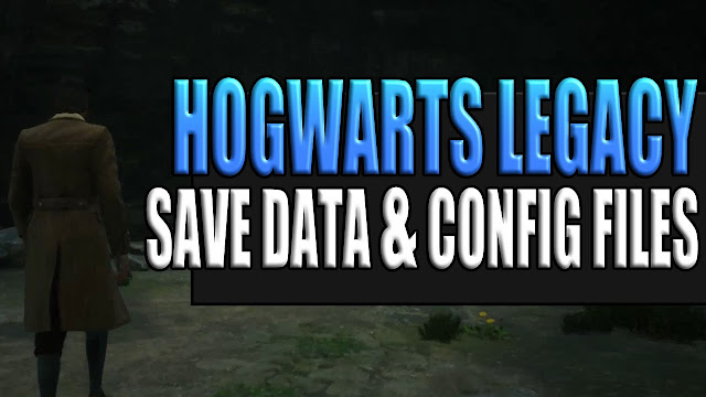 Speicherort der Speicher- und Konfigurationsdatei von Hogwarts Legacy