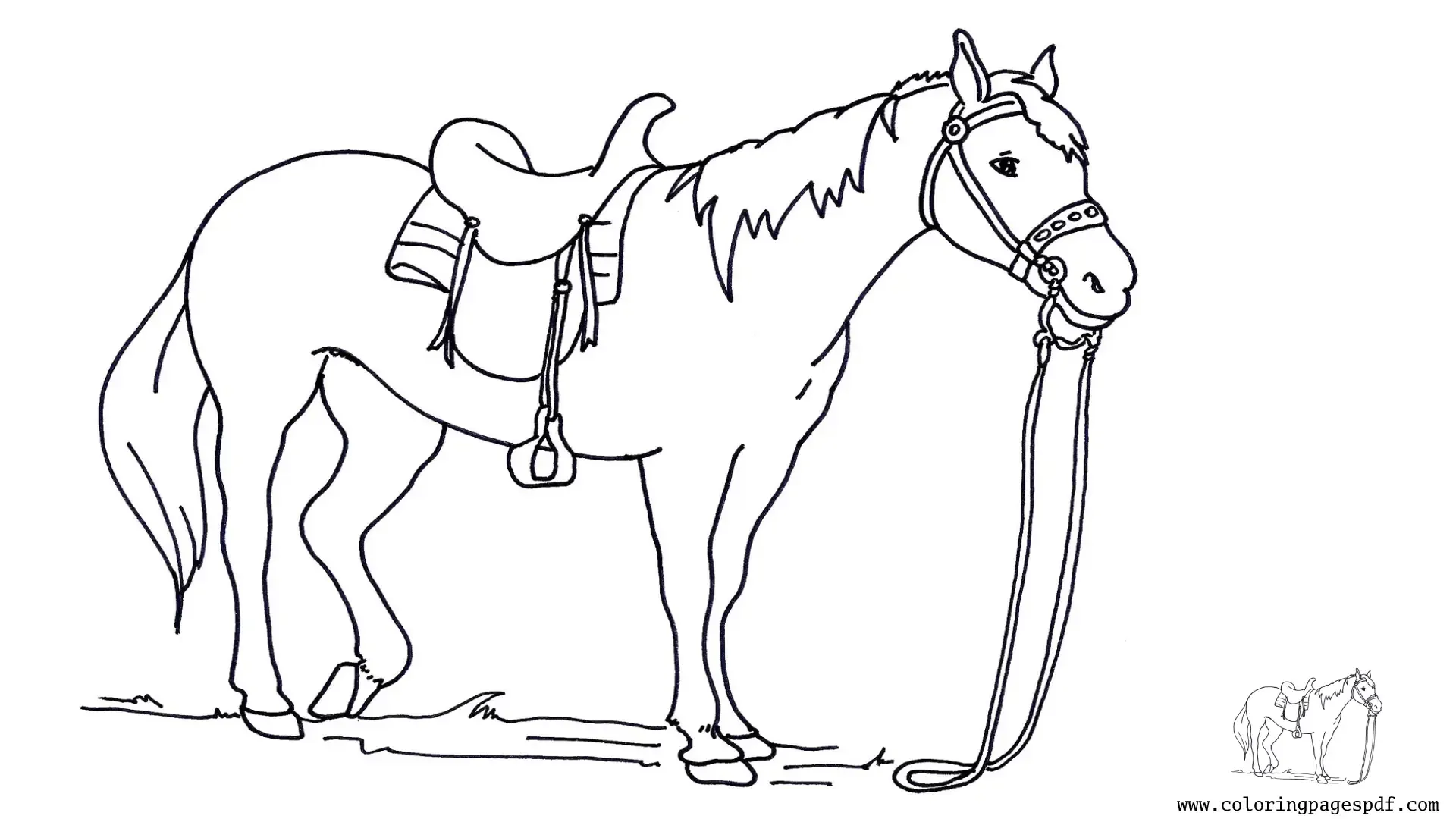 Coloring Page Of A Horse With A Saddle