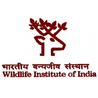 98 Posts - Wildlife Institute of India - WII Recruitment 2022 - Last Date 25 January