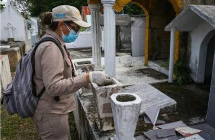 SESA intensifica operativo para prevención del dengue, zika y chikungunya en panteones y centros religiosos