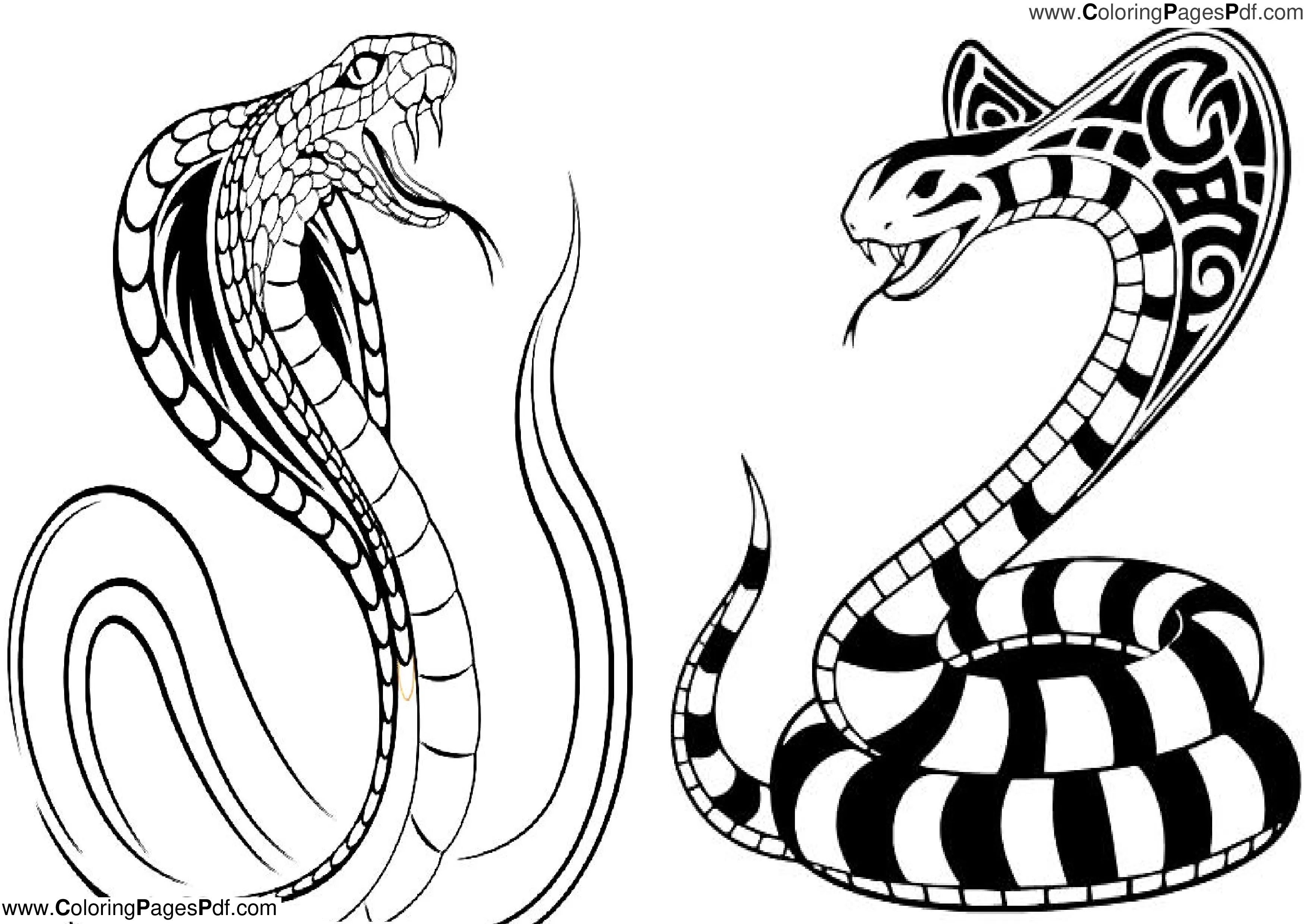 Realistic Snake coloring page