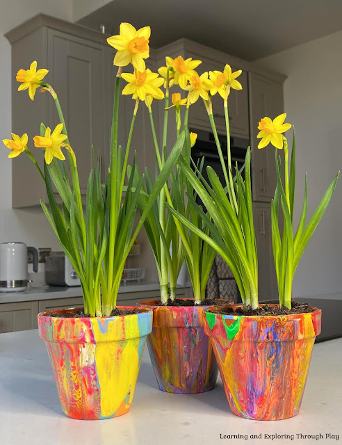 Pour Painting Flower Pots