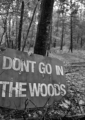 black and white photo of the forest with a sign in the foreground that says Don't Go In The Woods