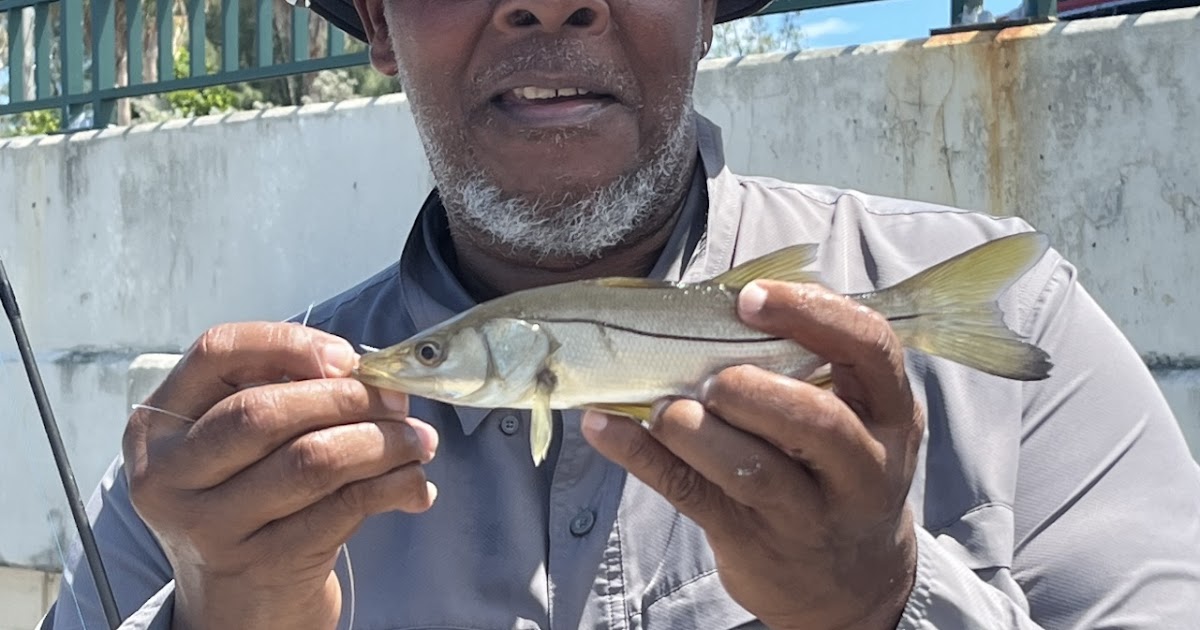 On Foot Angler: Snook-Nook Fishing Report