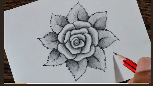 Rose Drawing Easy Drawing Painting Idea