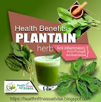 Plantain-health-benefits-healthnfitnessadvise-blogspot-com