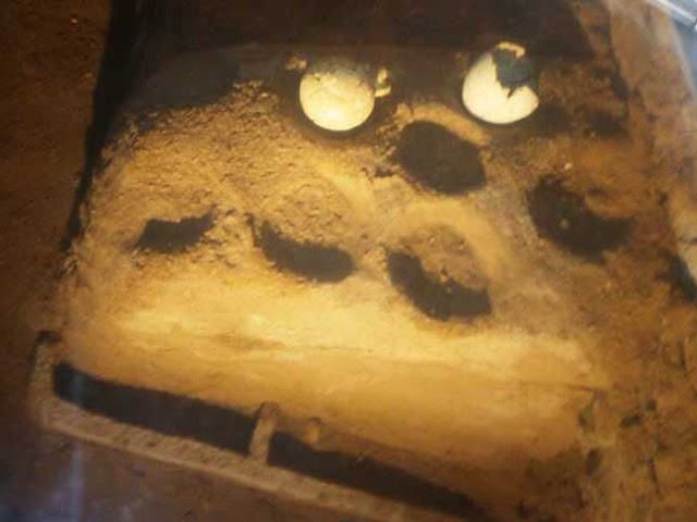 Επιτόπιο Μουσείο Μητρόπολης: εργαστήριο κεραμεικής φαγεντιανών με τα αγγεία κατά χώραν σε θήκες