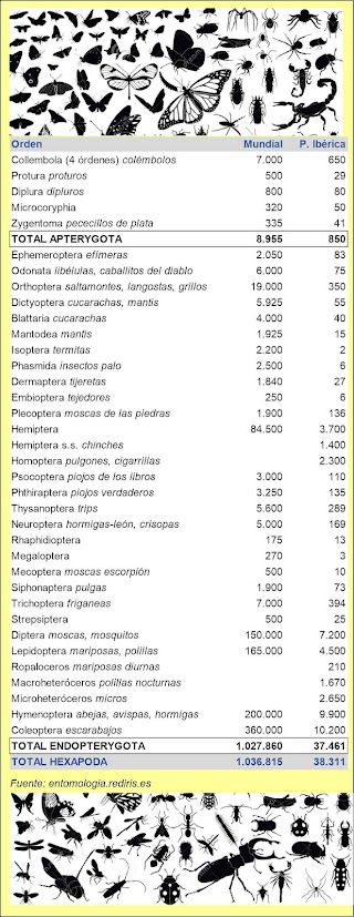 Número de especies de insectos