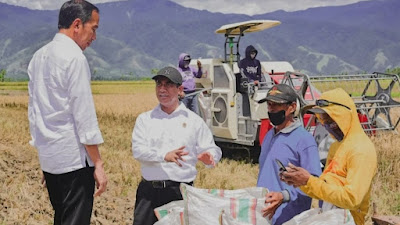 Tinjau Panen Raya di Kabupaten Sigi, Presiden Jokowi Hasilnya Cukup Baik