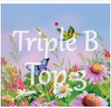 TRIPLE B - TOP 3