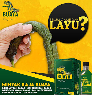 minyak raja buaya