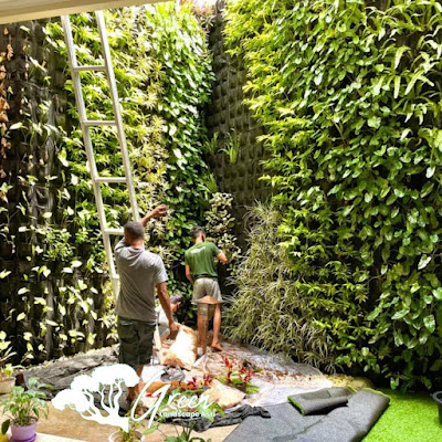 Jasa Taman Dinding Jember - Pembuatan Taman Vertical Garden di Jember Profesional