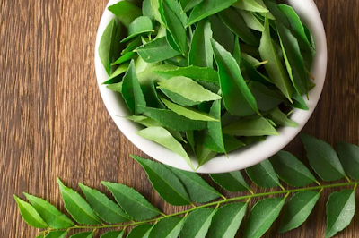 Curry Leaves Weight Loss