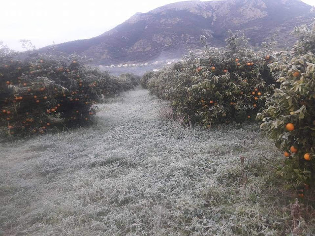 ΔΗΜΟΣ ΜΟΝΕΜΒΑΣΙΑΣ:ΕΝΗΜΕΡΩΣΗ ΠΡΟΣ ΤΟΥΣ ΠΛΗΓΕΝΤΕΣ ΠΑΡΑΓΩΓΟΥΣ 