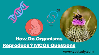 How do organisms reproduce class 10 mcq questions with answers