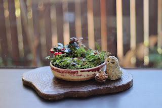 リング鉢に植えられた赤い実のリースとフクロウの置物とまつぼっくり