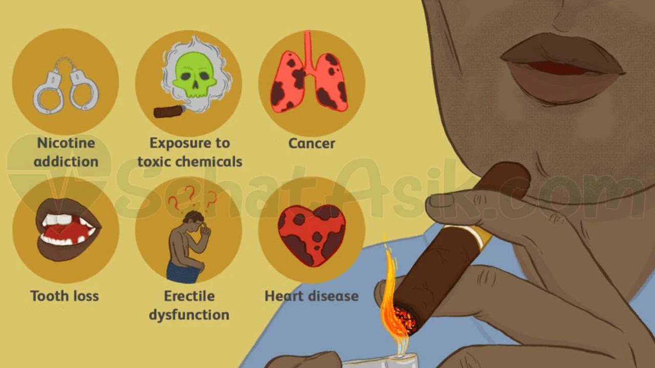 Bahaya Rokok Terhadap Kesehatan Organ Tubuh