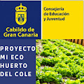 Curso 2023-2024