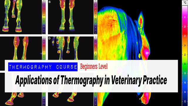  Thermography Course