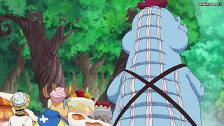 One Piece 第791話 お菓子な森 ルフィvsルフィ ネタバレ