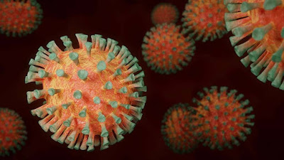Coronavirus-sistema-imunológico-pode-combater-o-COVID-19