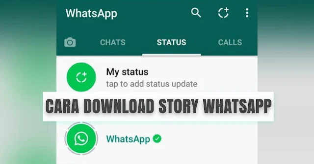 Cara download foto dan video story WhatsApp