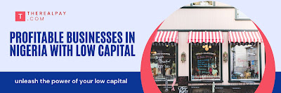 Profitable Businesses in Nigeria with Low Capital