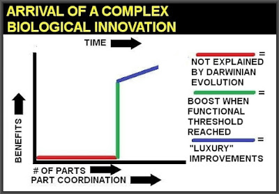 arrival of complex biological innovation