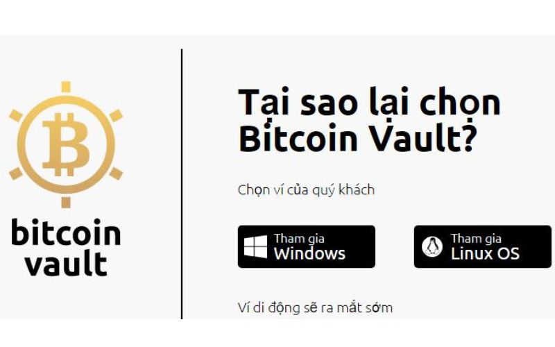 Tính năng của Bitcoin vault là gì?