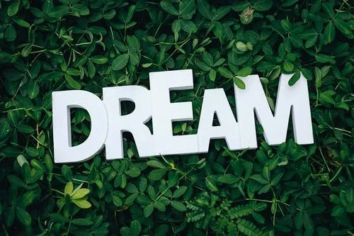 what is dream in life what is dream in psychology spiritual meaning of dreams what causes dreams why do we dream psychology the study of dreams dreaming articles about dreams