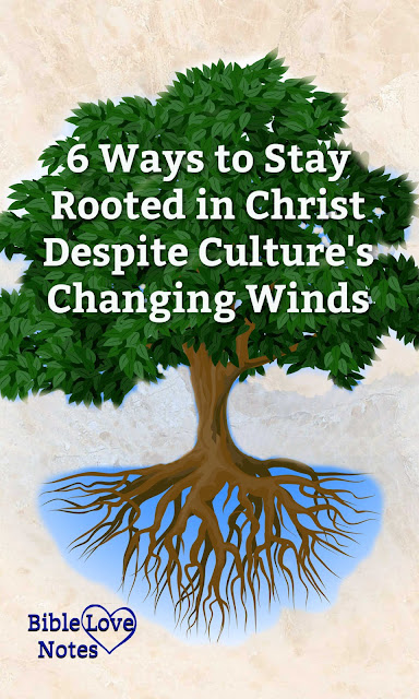 If we aren't careful, we can sway with the winds of culture. This 1-minute devotion explains 6 ways to keep rooted in Christ.