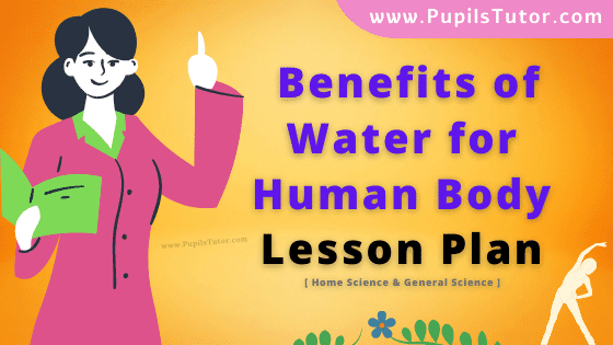 Benefits Of Water For Human Body Lesson Plan For B.Ed, DE.L.ED, M.Ed 1st 2nd Year And Class 6th Home Science And General Science Teacher Free Download PDF On Micro Teaching Skill Of Illustration With Examples In English Medium. - www.pupilstutor.com