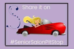 Scratch Made Food! & DIY Homemade Household is featured at Senior Salon Pit Stop!