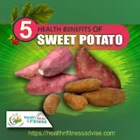 Importance-of-Sweet-Potatoes-healthnfitnessadvise-com